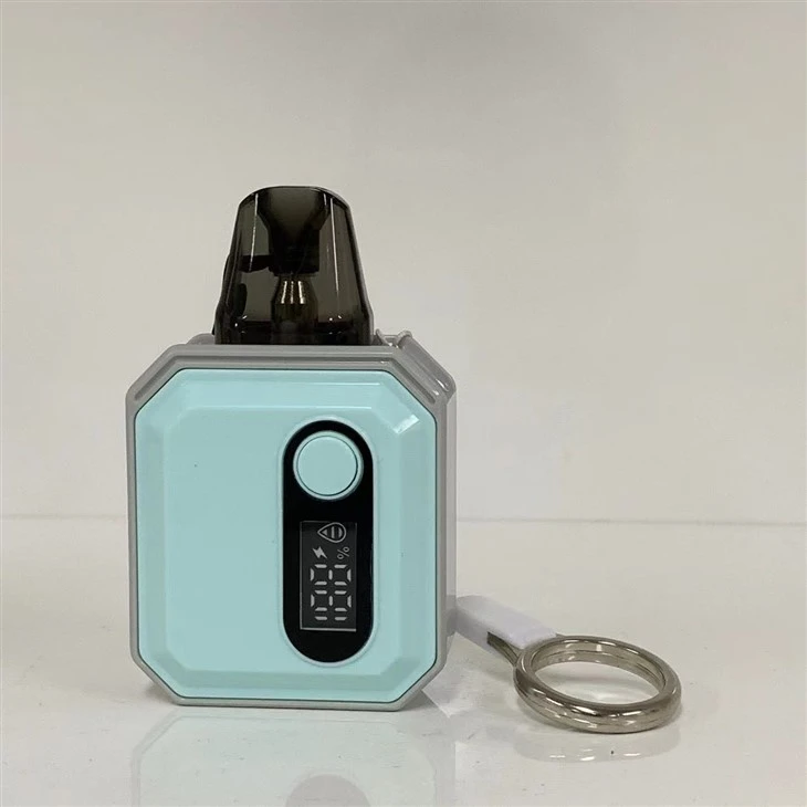E Cigarette Vape Pod Factory 600 Puff Wholesale Disposable Vape